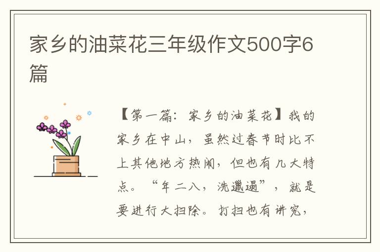 家乡的油菜花三年级作文500字6篇