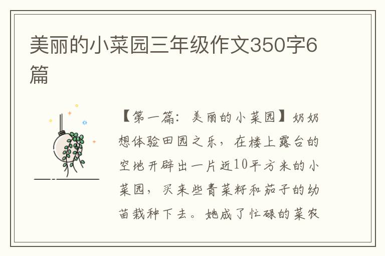 美丽的小菜园三年级作文350字6篇