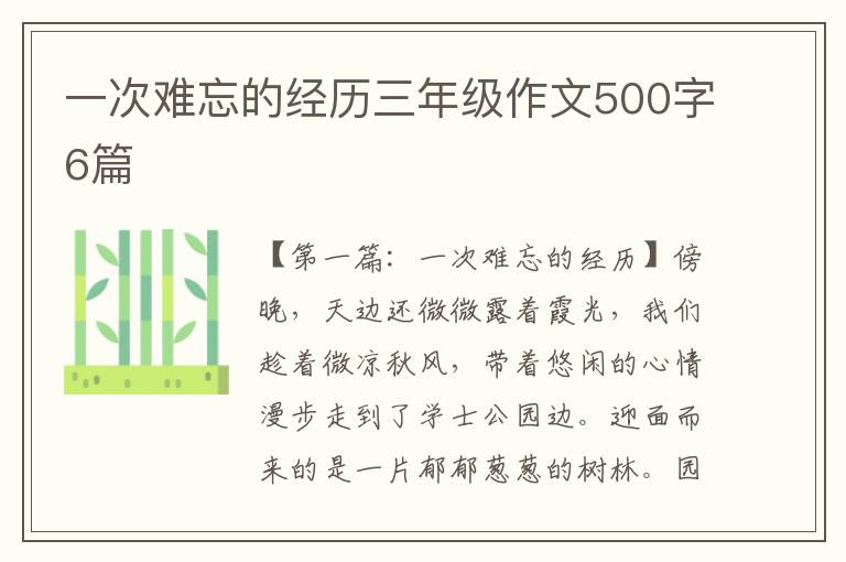 一次难忘的经历三年级作文500字6篇