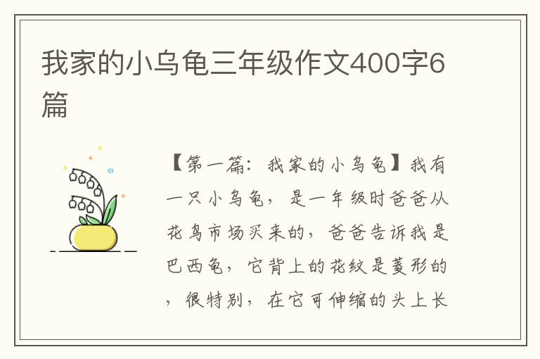 我家的小乌龟三年级作文400字6篇