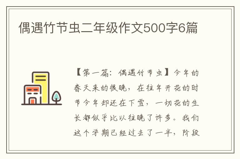 偶遇竹节虫二年级作文500字6篇