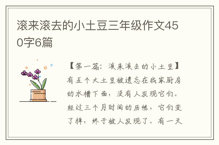 滚来滚去的小土豆三年级作文450字6篇