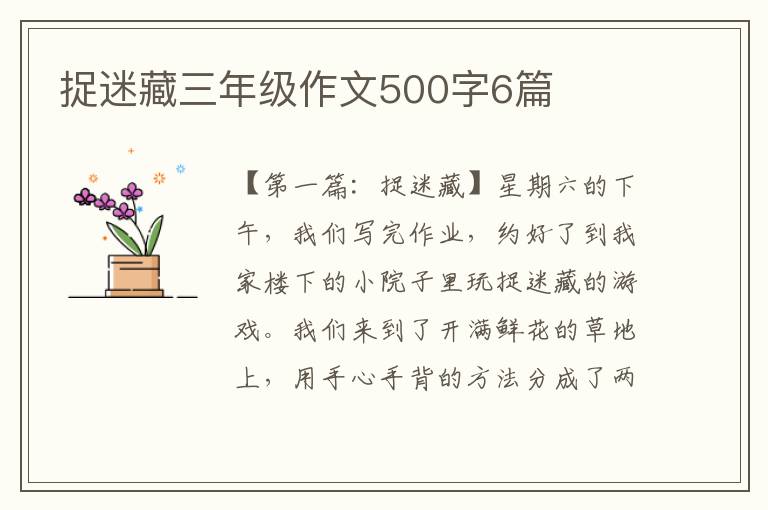 捉迷藏三年级作文500字6篇