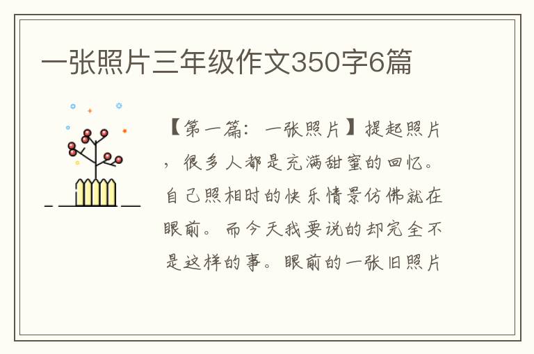 一张照片三年级作文350字6篇