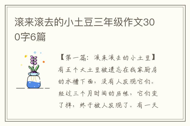 滚来滚去的小土豆三年级作文300字6篇