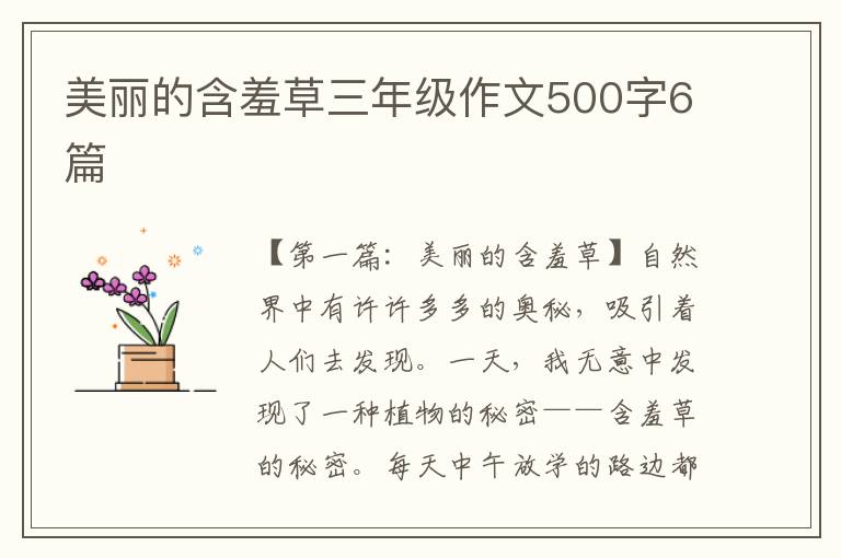 美丽的含羞草三年级作文500字6篇