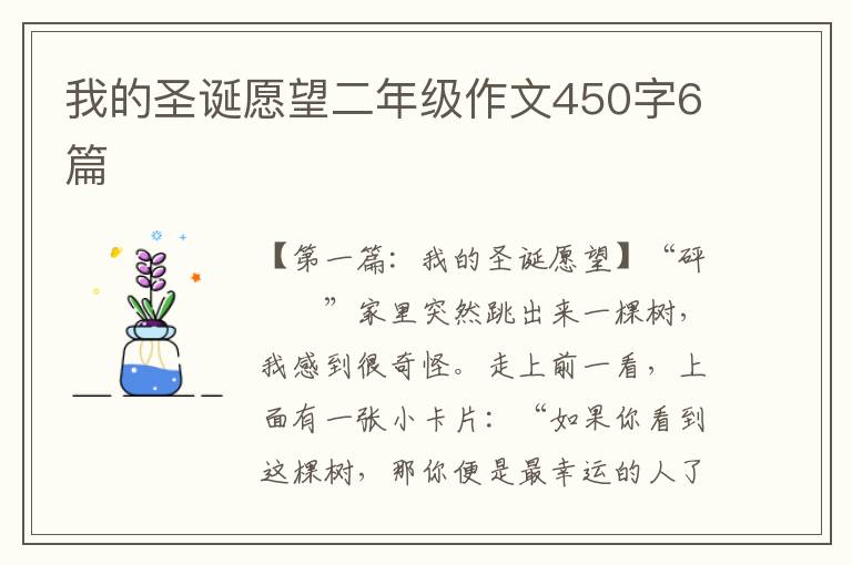 我的圣诞愿望二年级作文450字6篇