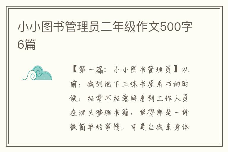 小小图书管理员二年级作文500字6篇