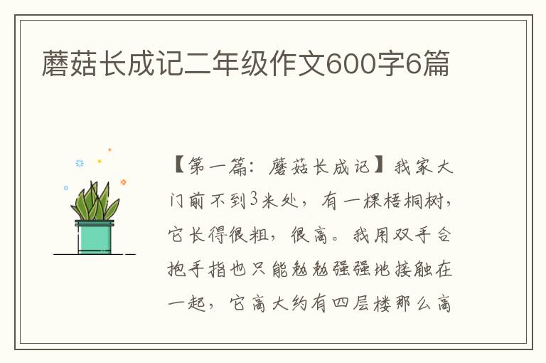 蘑菇长成记二年级作文600字6篇