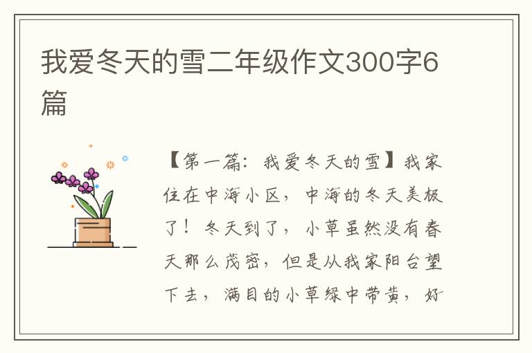 我爱冬天的雪二年级作文300字6篇