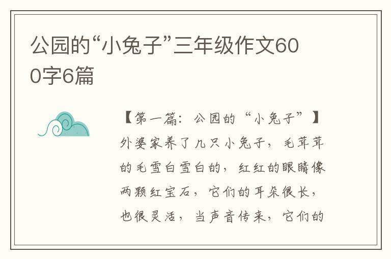 公园的“小兔子”三年级作文600字6篇