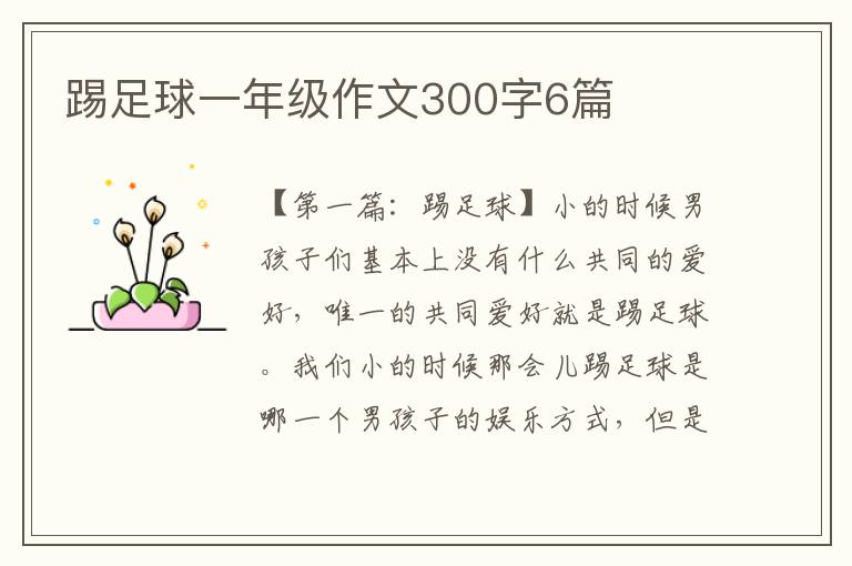 踢足球一年级作文300字6篇