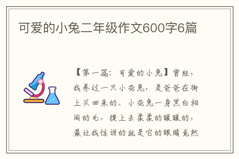 可爱的小兔二年级作文600字6篇