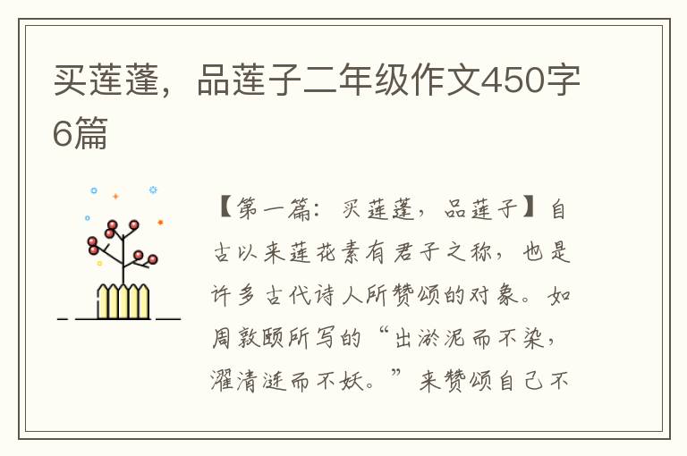 买莲蓬，品莲子二年级作文450字6篇