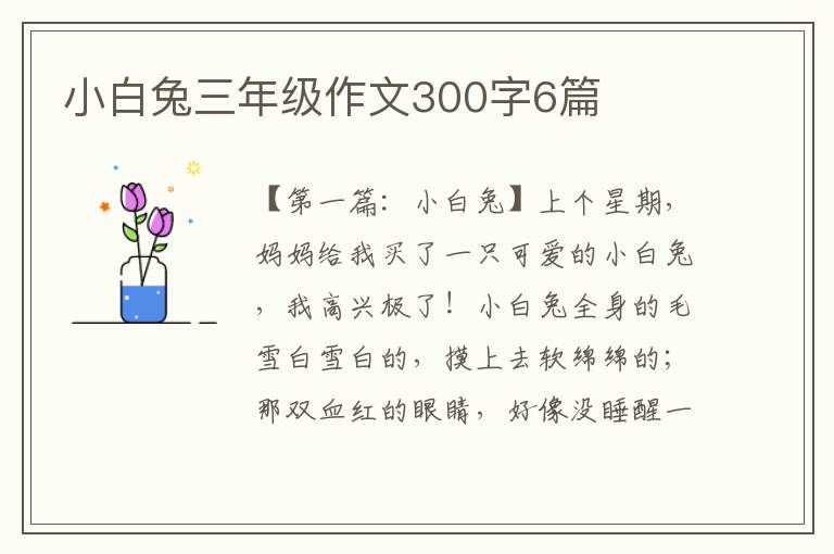 小白兔三年级作文300字6篇