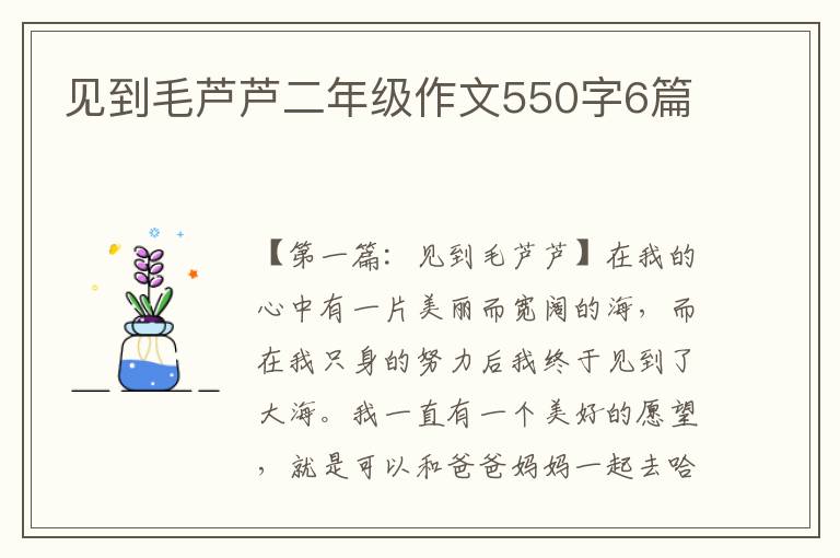 见到毛芦芦二年级作文550字6篇