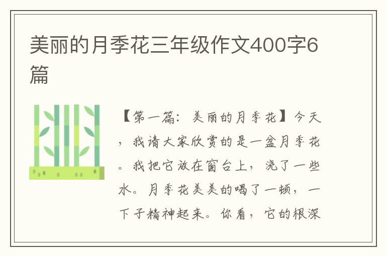 美丽的月季花三年级作文400字6篇