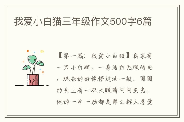 我爱小白猫三年级作文500字6篇