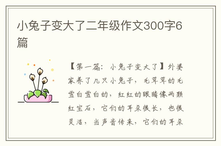 小兔子变大了二年级作文300字6篇