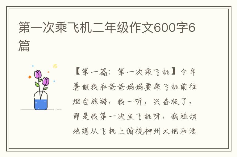 第一次乘飞机二年级作文600字6篇