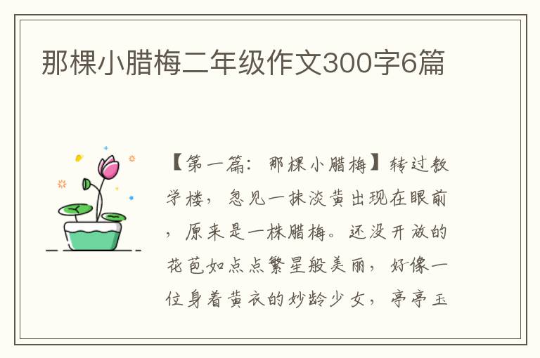 那棵小腊梅二年级作文300字6篇