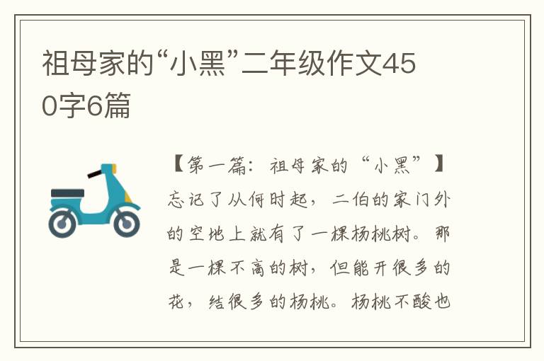 祖母家的“小黑”二年级作文450字6篇