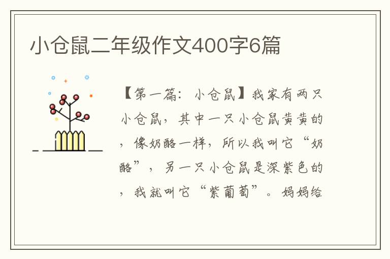 小仓鼠二年级作文400字6篇