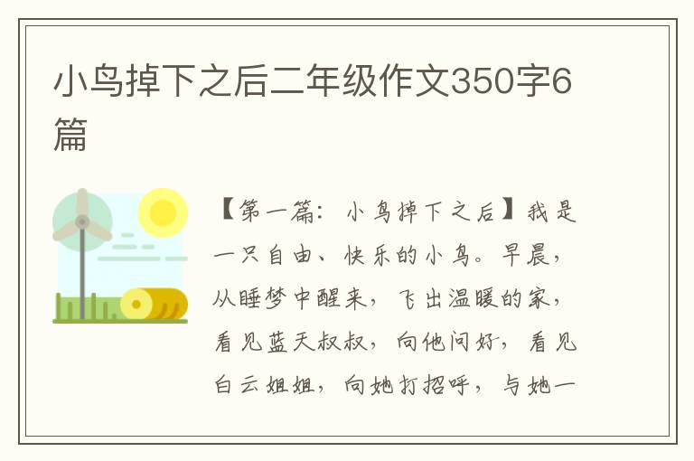 小鸟掉下之后二年级作文350字6篇