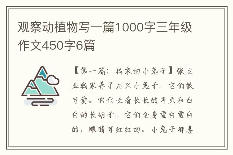 观察动植物写一篇1000字三年级作文450字6篇