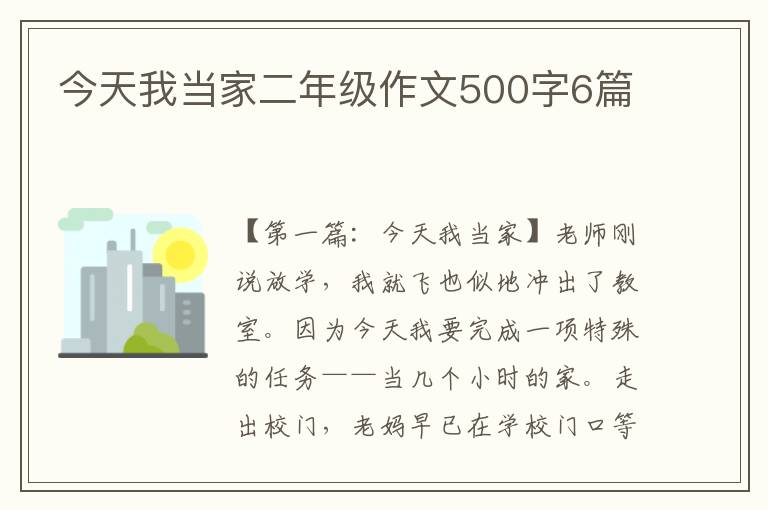 今天我当家二年级作文500字6篇