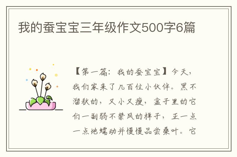 我的蚕宝宝三年级作文500字6篇