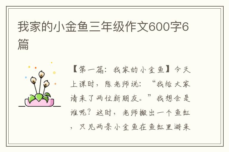 我家的小金鱼三年级作文600字6篇