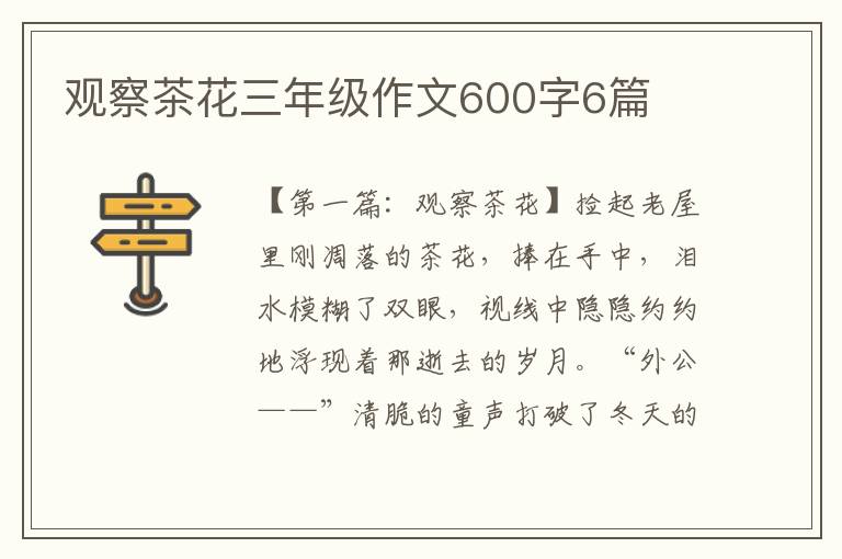 观察茶花三年级作文600字6篇