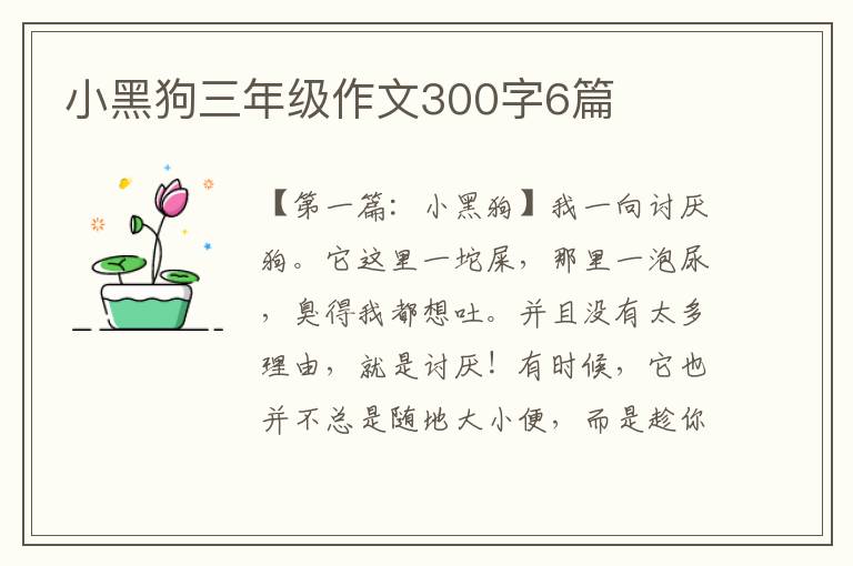 小黑狗三年级作文300字6篇