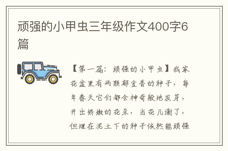 顽强的小甲虫三年级作文400字6篇