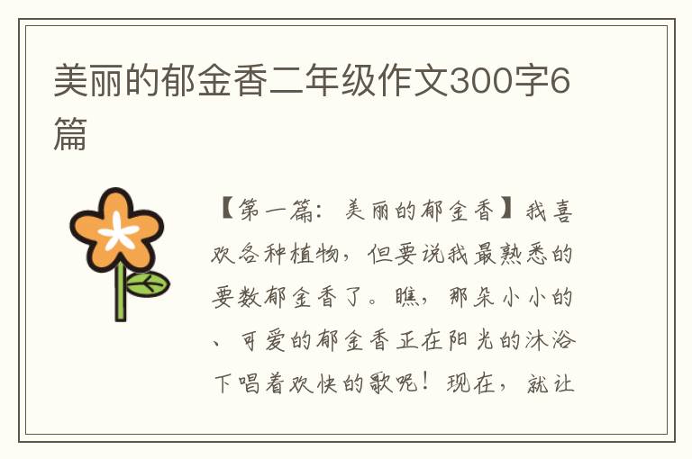 美丽的郁金香二年级作文300字6篇