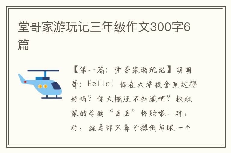 堂哥家游玩记三年级作文300字6篇