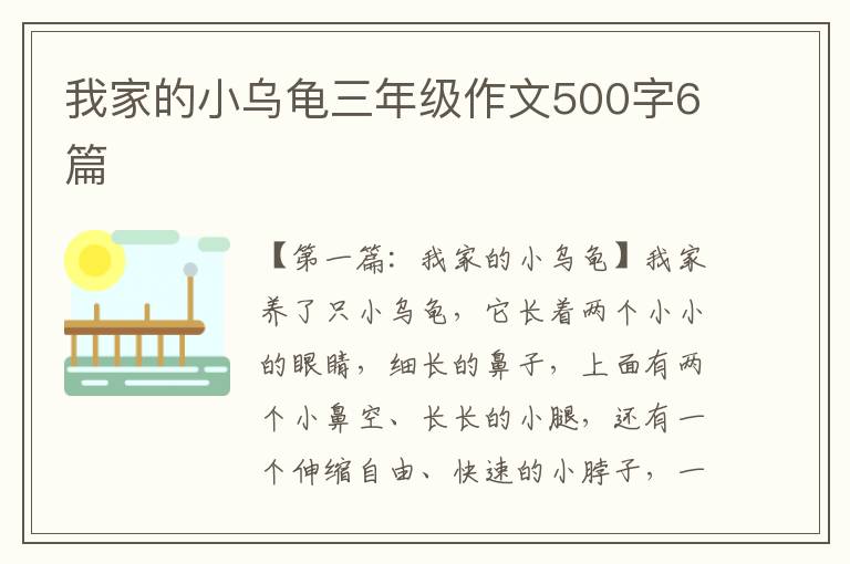 我家的小乌龟三年级作文500字6篇