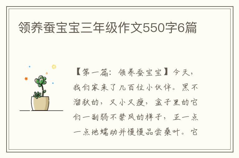 领养蚕宝宝三年级作文550字6篇