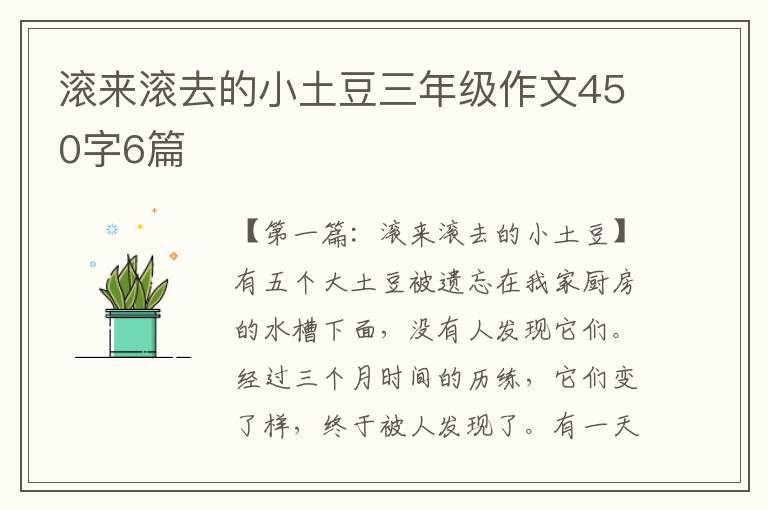 滚来滚去的小土豆三年级作文450字6篇