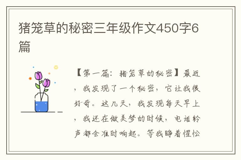 猪笼草的秘密三年级作文450字6篇