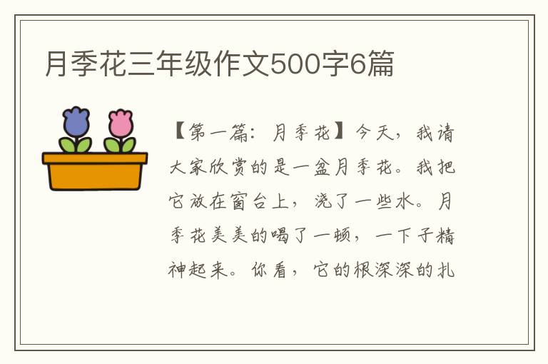 月季花三年级作文500字6篇