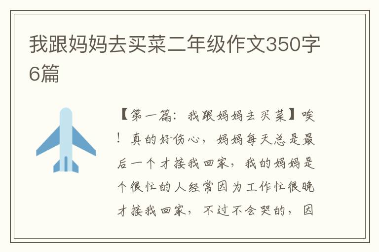 我跟妈妈去买菜二年级作文350字6篇