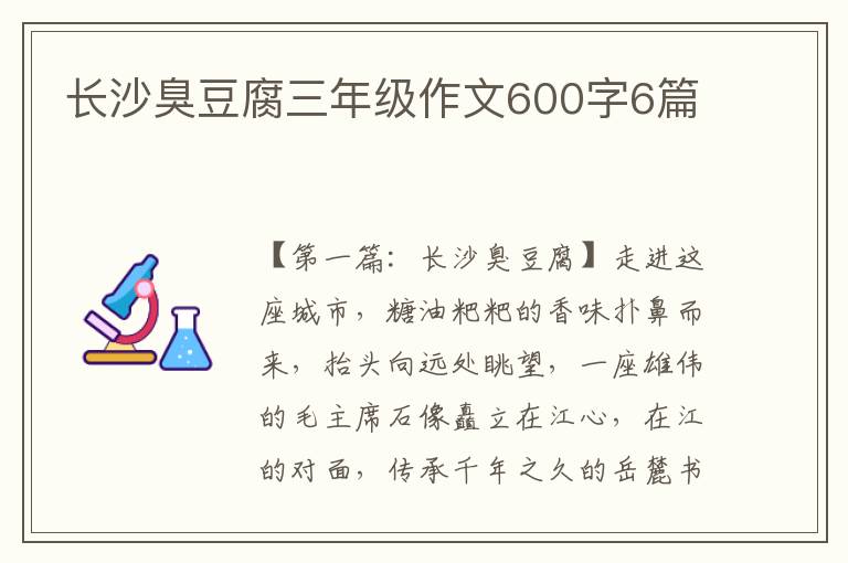 长沙臭豆腐三年级作文600字6篇