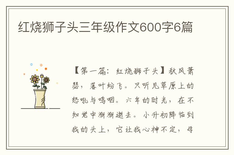 红烧狮子头三年级作文600字6篇