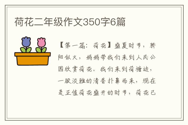 荷花二年级作文350字6篇