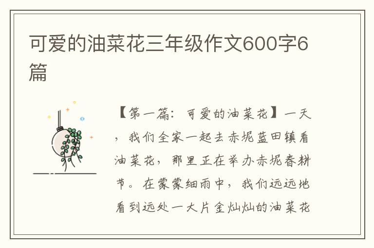 可爱的油菜花三年级作文600字6篇