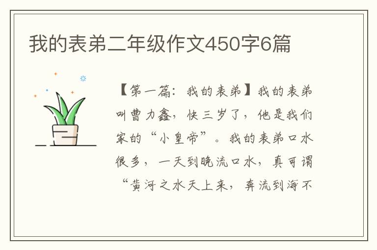 我的表弟二年级作文450字6篇