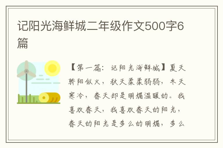 记阳光海鲜城二年级作文500字6篇