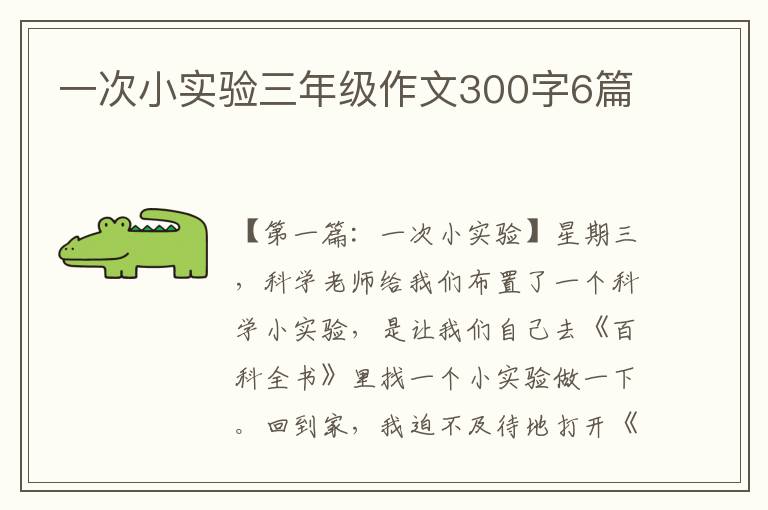 一次小实验三年级作文300字6篇